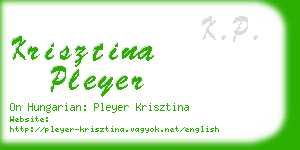 krisztina pleyer business card